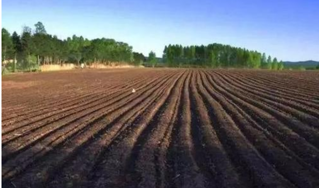 轮作休耕关键技术