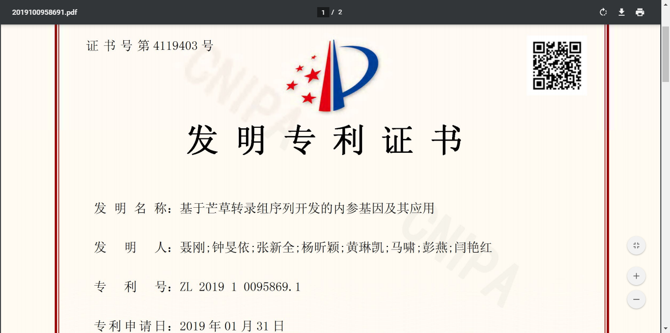 基于芒草转录组序列开发的内参基因及其应用