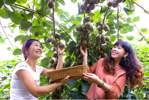 成都市都江堰市天马镇金胜社区