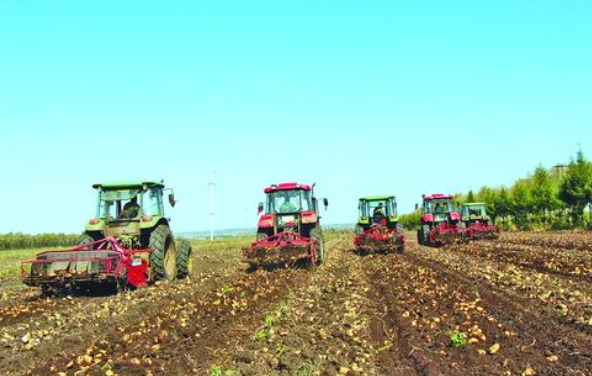 马铃薯机械化生产技术