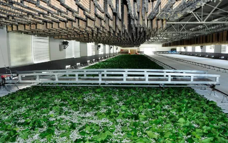 小蚕共育环境智能化控制技术