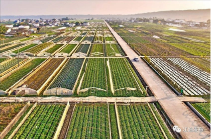 绵阳市江油市青莲镇中河村