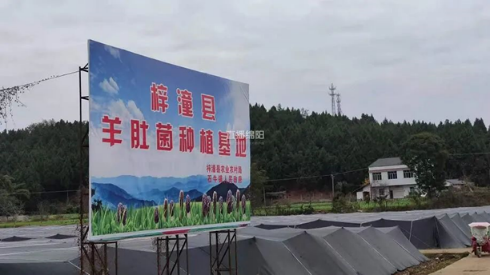 绵阳市梓潼县石牛镇雁门村