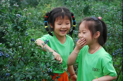 浙江省上下文村