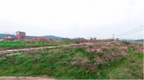 成都市简阳市平武镇尤安村