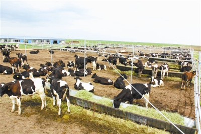 草畜一体化生产管理技术