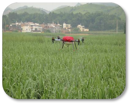 性诱剂为核心的甘蔗螟虫系统控制关键技术