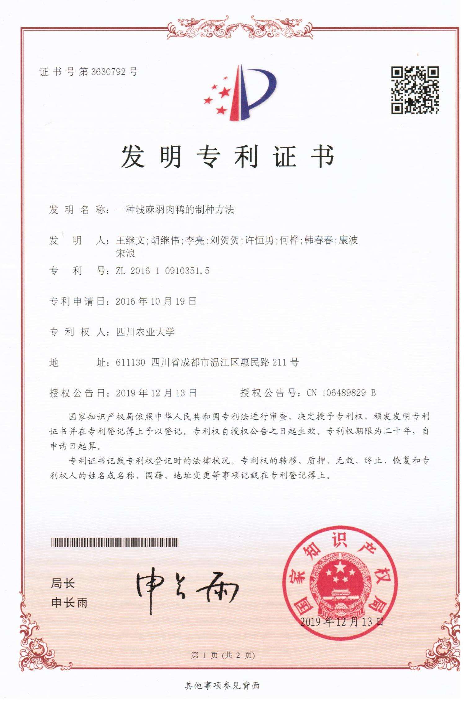 一种浅麻羽肉鸭的制种方法