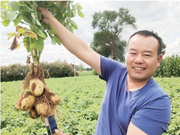 高台县奇峰马铃薯农民专业合作社