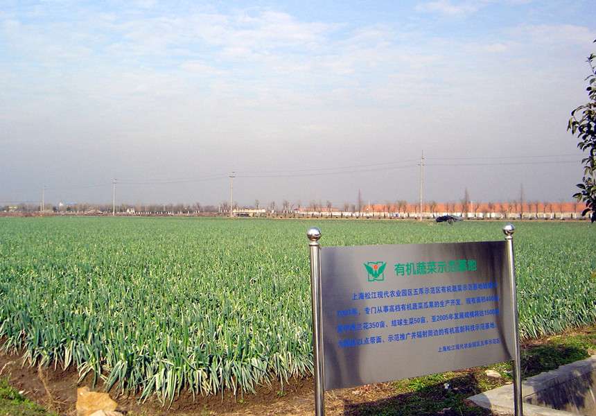 玉米秸秆&ldquo;三三制&rdquo;还田技术