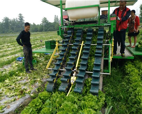 蔬菜全程机械化关键装备技术