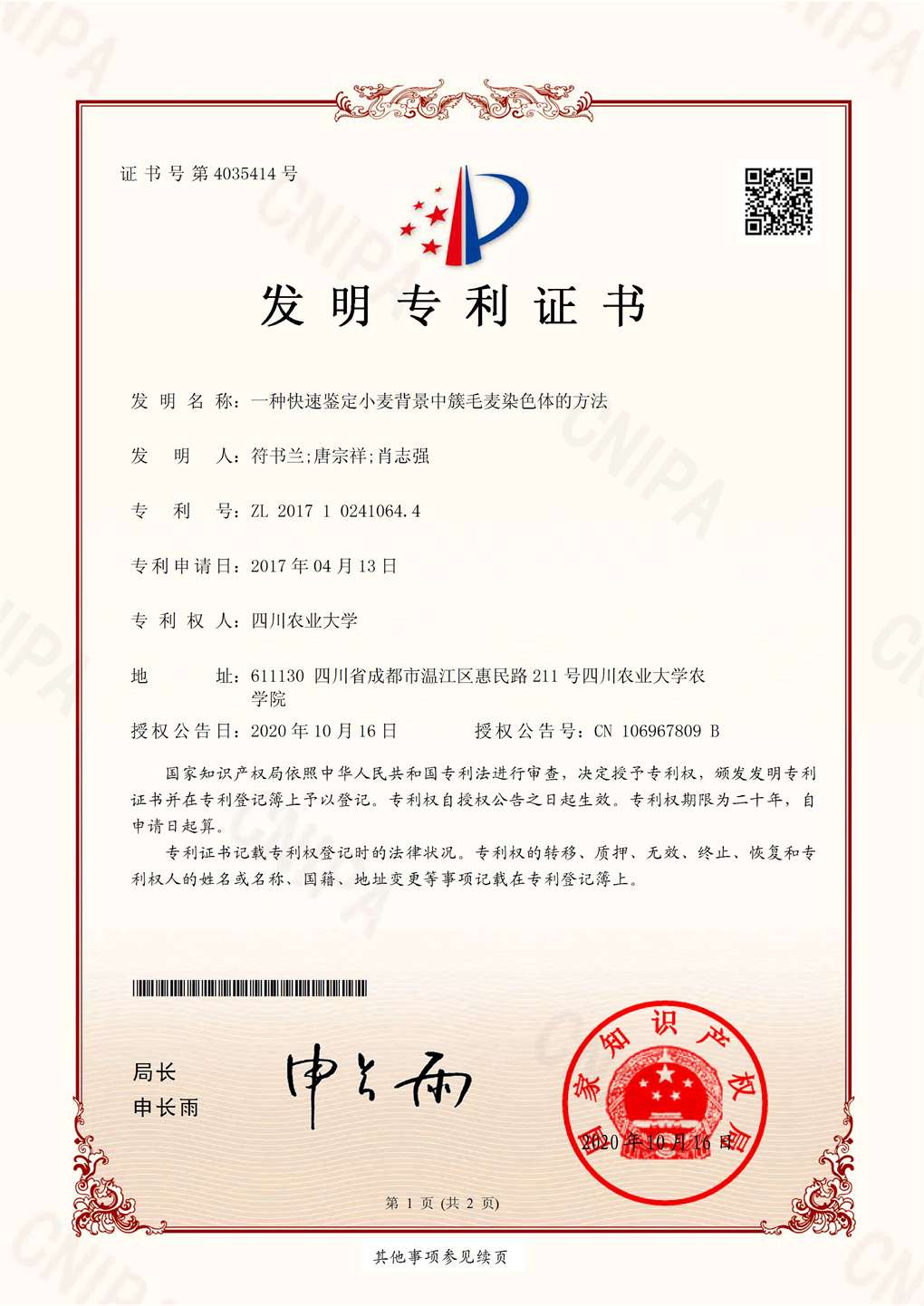 一种快速鉴定小麦背景中簇毛麦染色体的方法