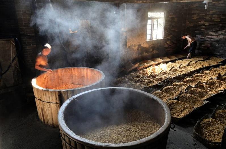 谷子轻简高效栽培技术