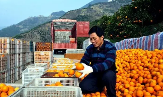 高安市民兴农民专业合作社