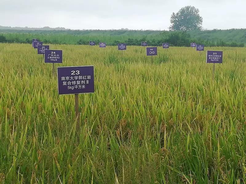 江西省受污染耕地安全利用技术