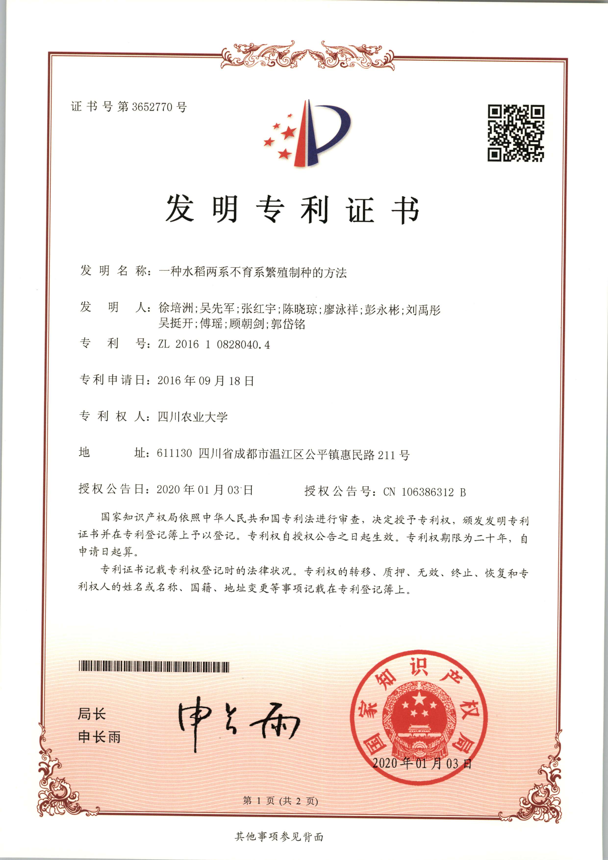 一种水稻两系不育系繁殖制种的方法