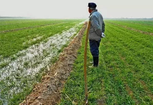 水稻机插秧同步侧深施肥技术