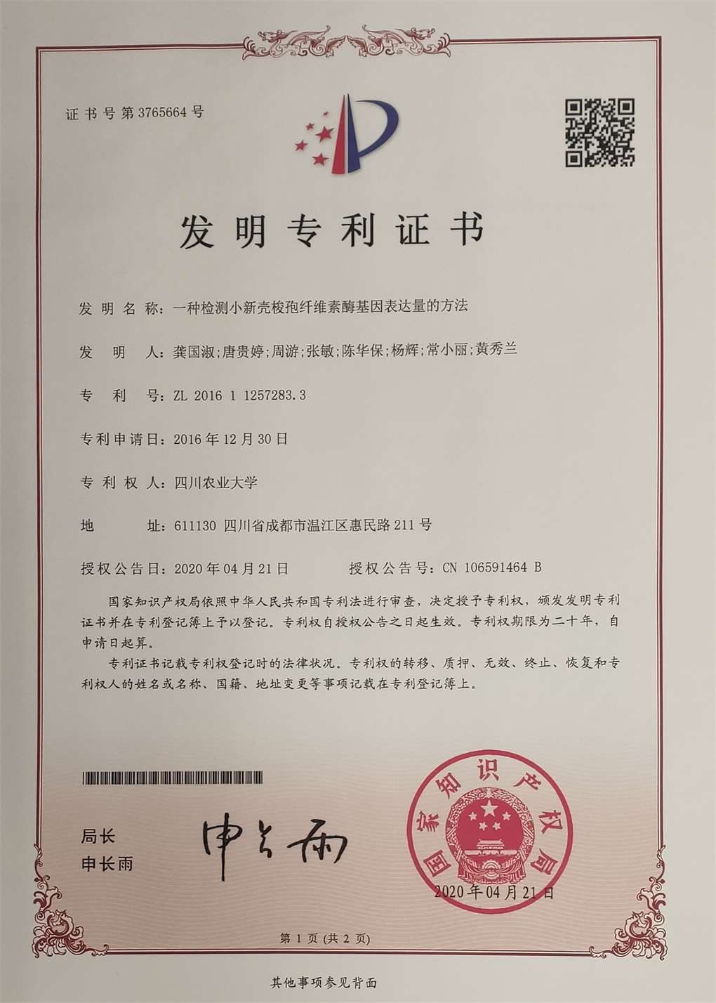 一种检测小新壳梭孢纤维素酶基因表达量的方法