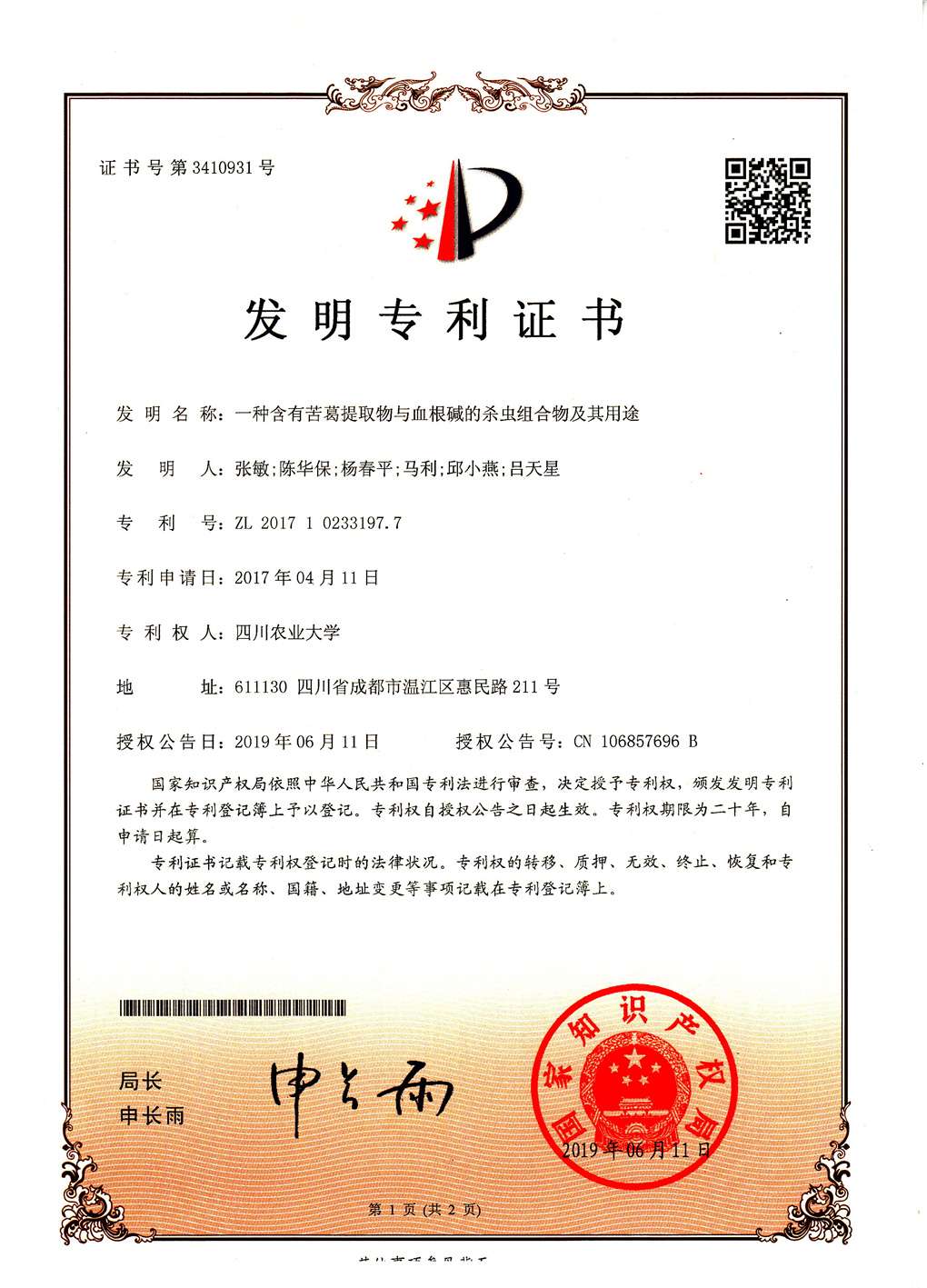 一种含有苦葛提取物与血根碱的杀虫组合物及其用途