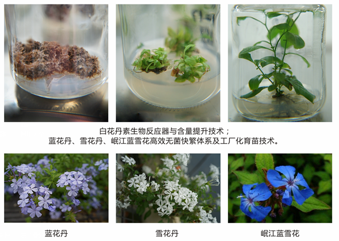 四川高农生态科技有限责任公司