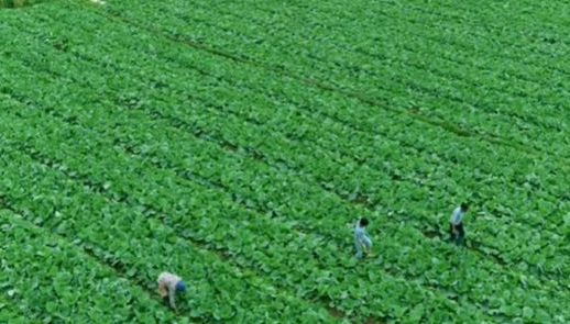 遵义市供销合作社联合社