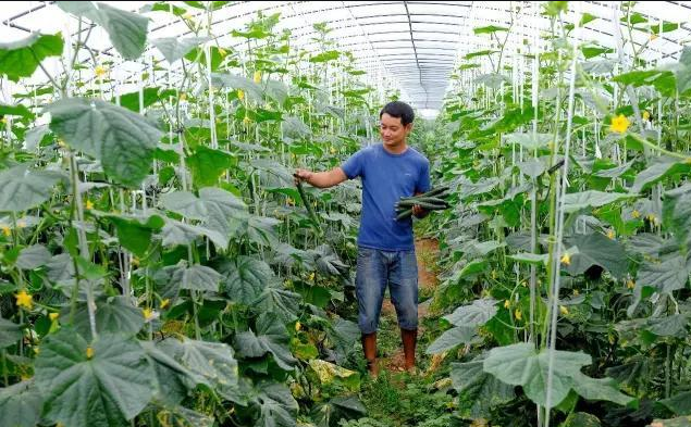 酒泉市供销合作社联合社