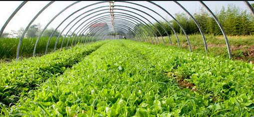 眉县猴娃桥果业专业合作社