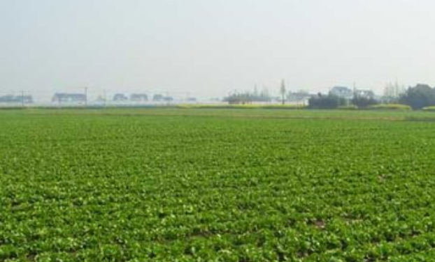 湖南省平江县供销合作社