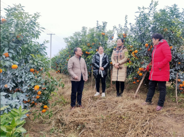 芒康县纳西民族乡三江农民专业合作社