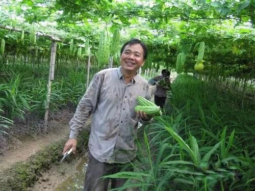广东珠海市斗门区禾菜园家庭农场