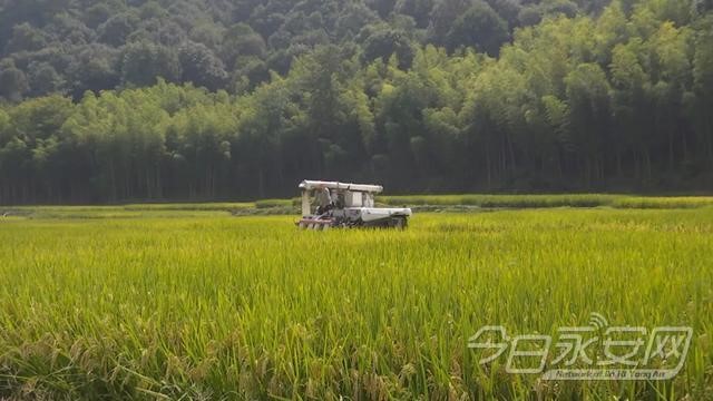 福建省永安市小淘镇金山家庭农场