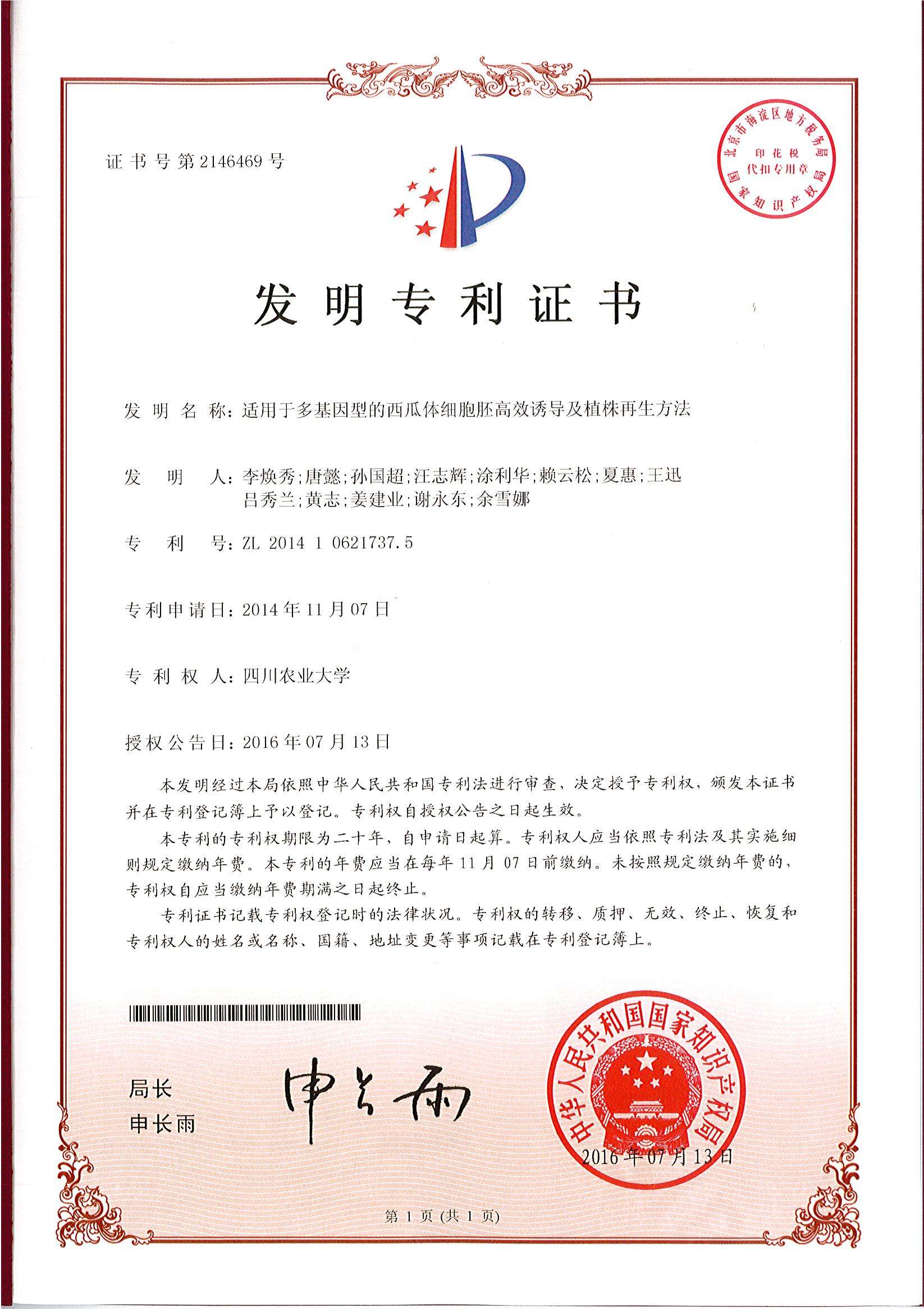 适用于多基因型的西瓜体细胞胚高效诱导及植株再生方法