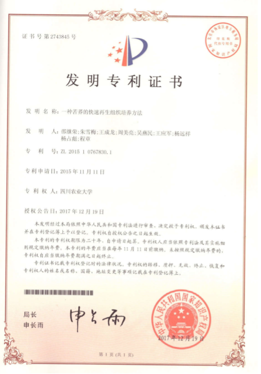 一种苦荞的快速再生组织培养方法