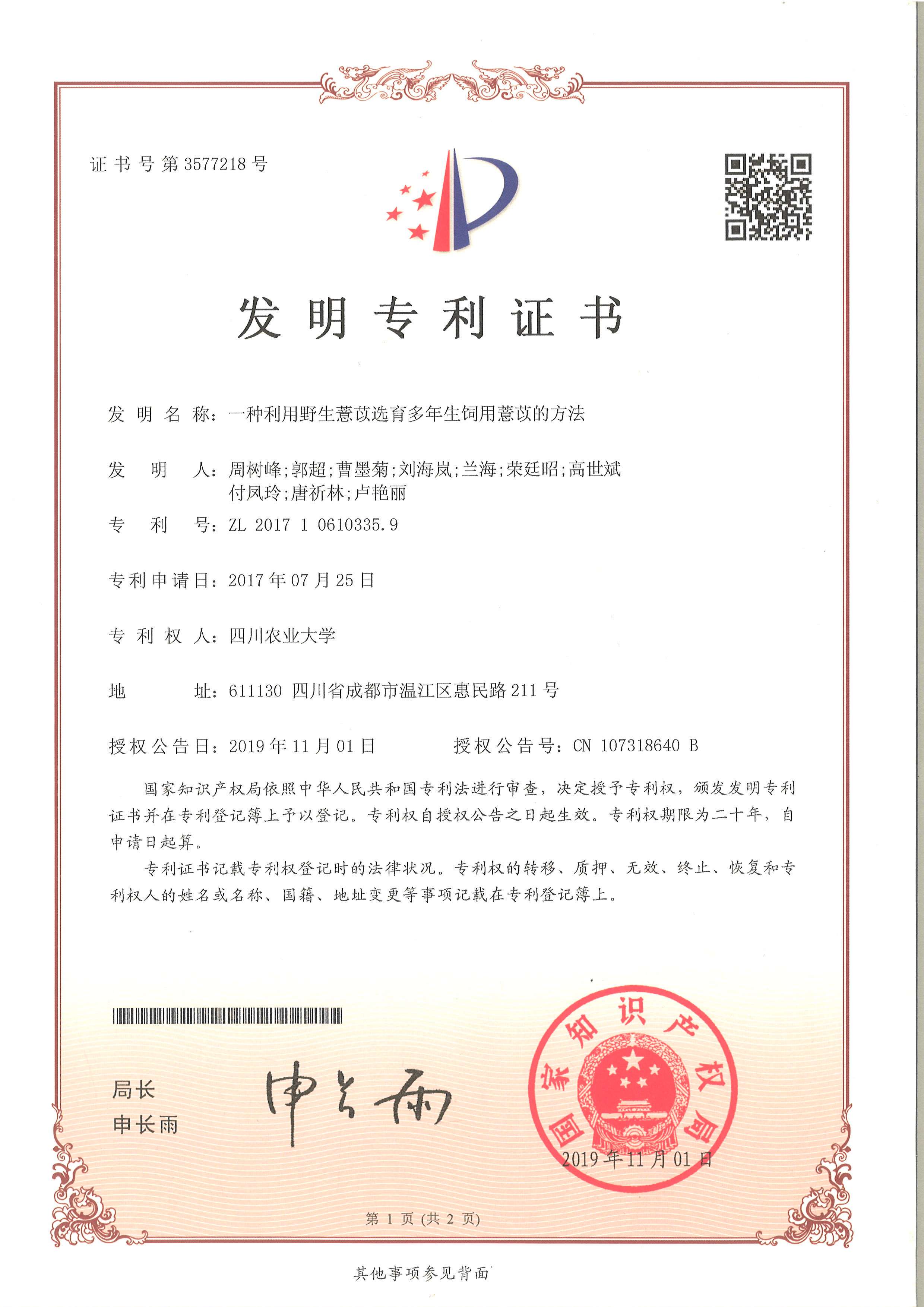 一种利用野生薏苡选育多年生饲用薏苡的方法