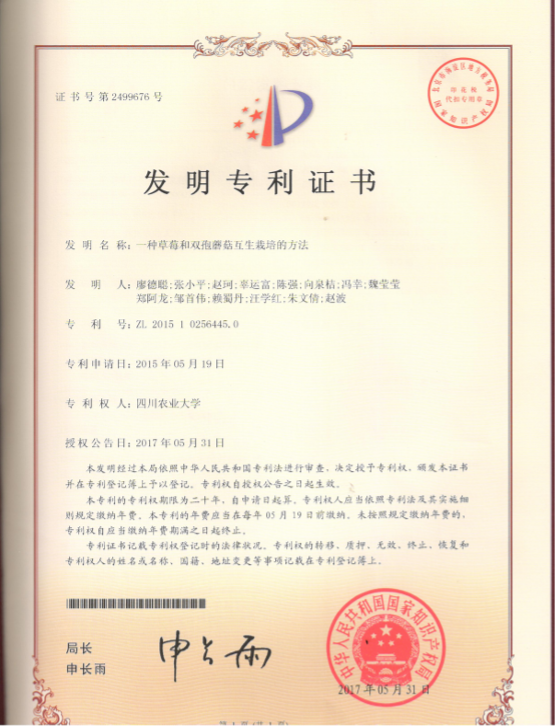 一种草莓和双孢蘑菇互生栽培的方法