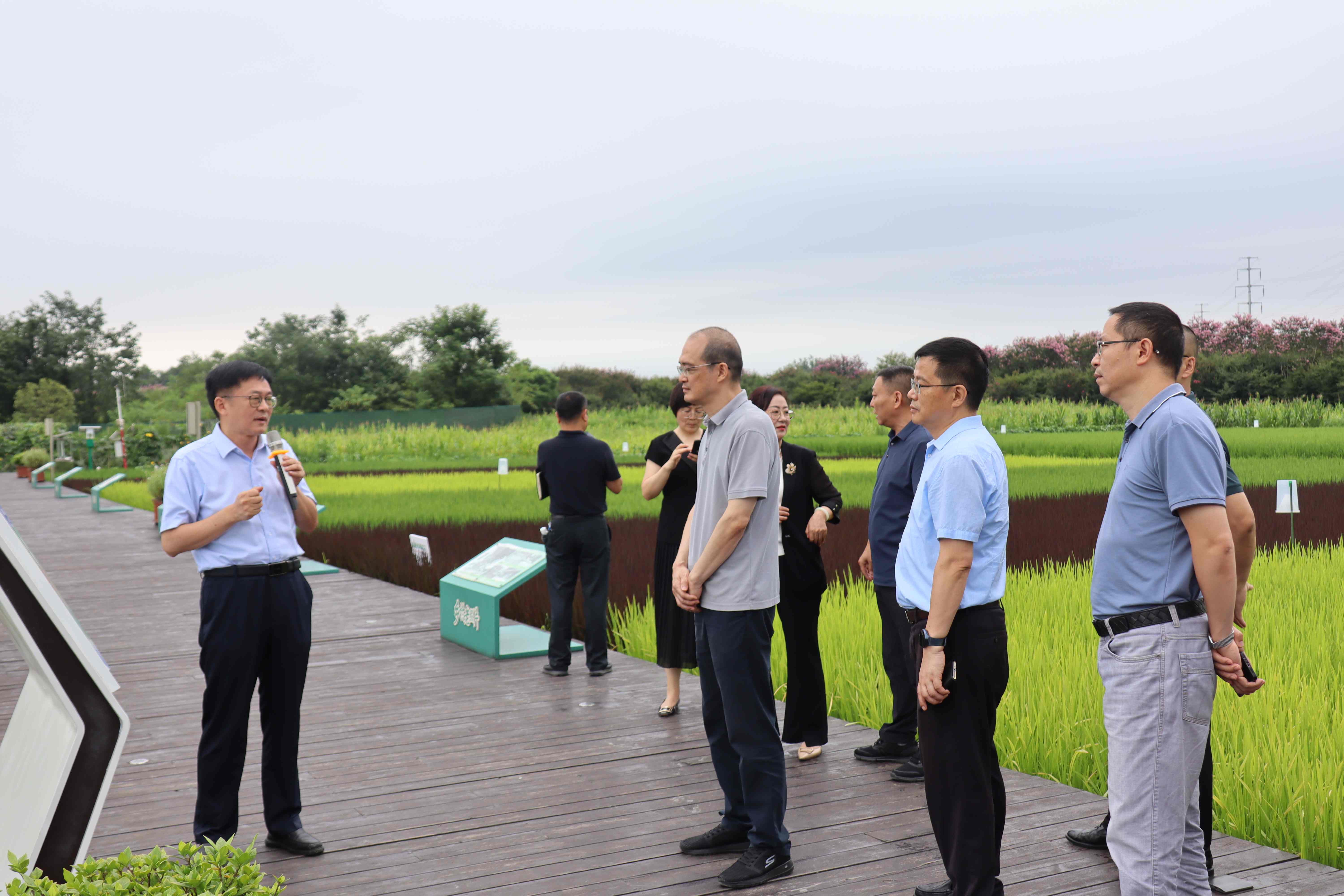 全市宜居宜业和美乡村现场交流会议在温江召开