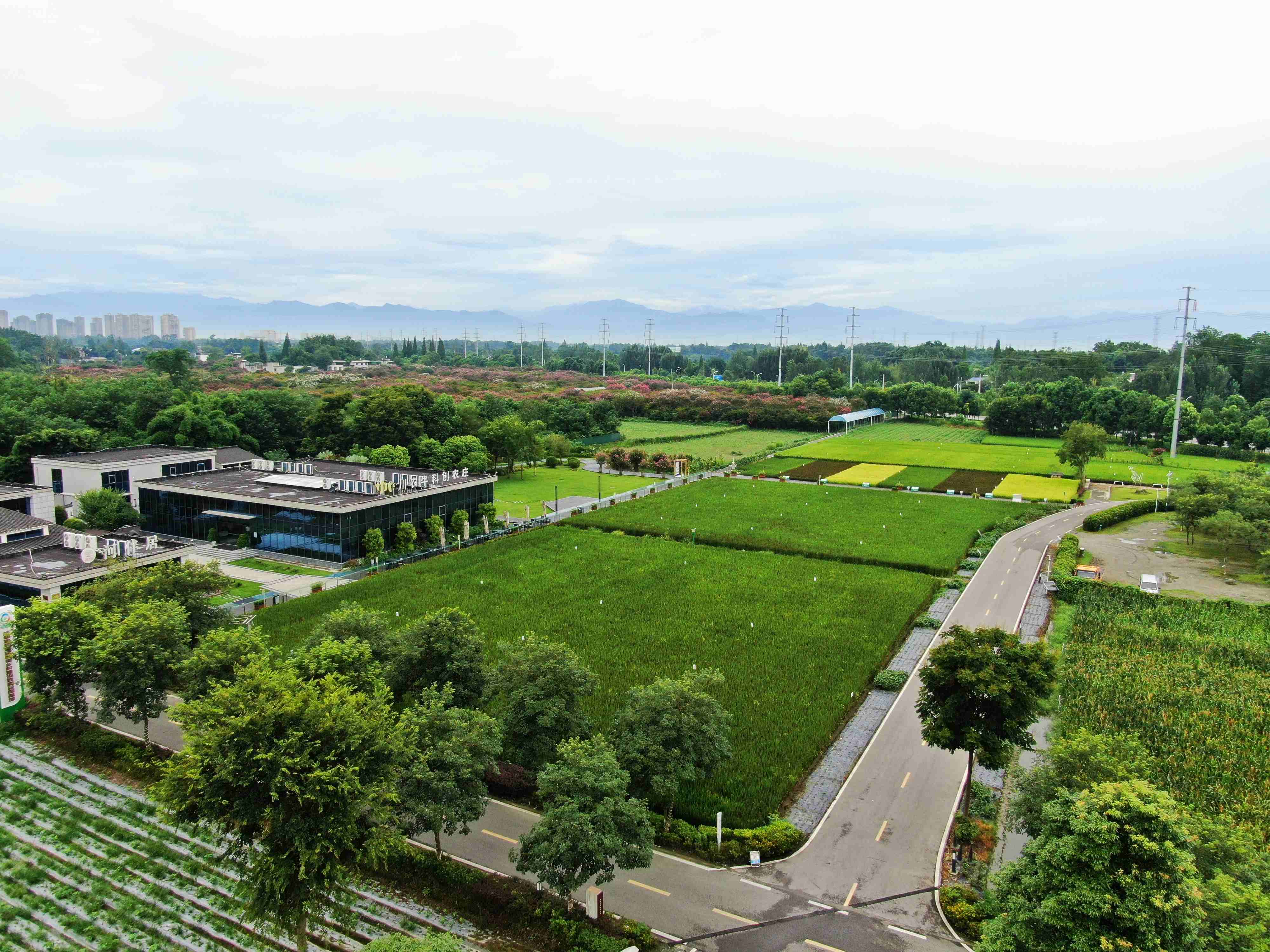 城乡融合 成都试验丨温江区：激活科创引力 蝶变田园经济