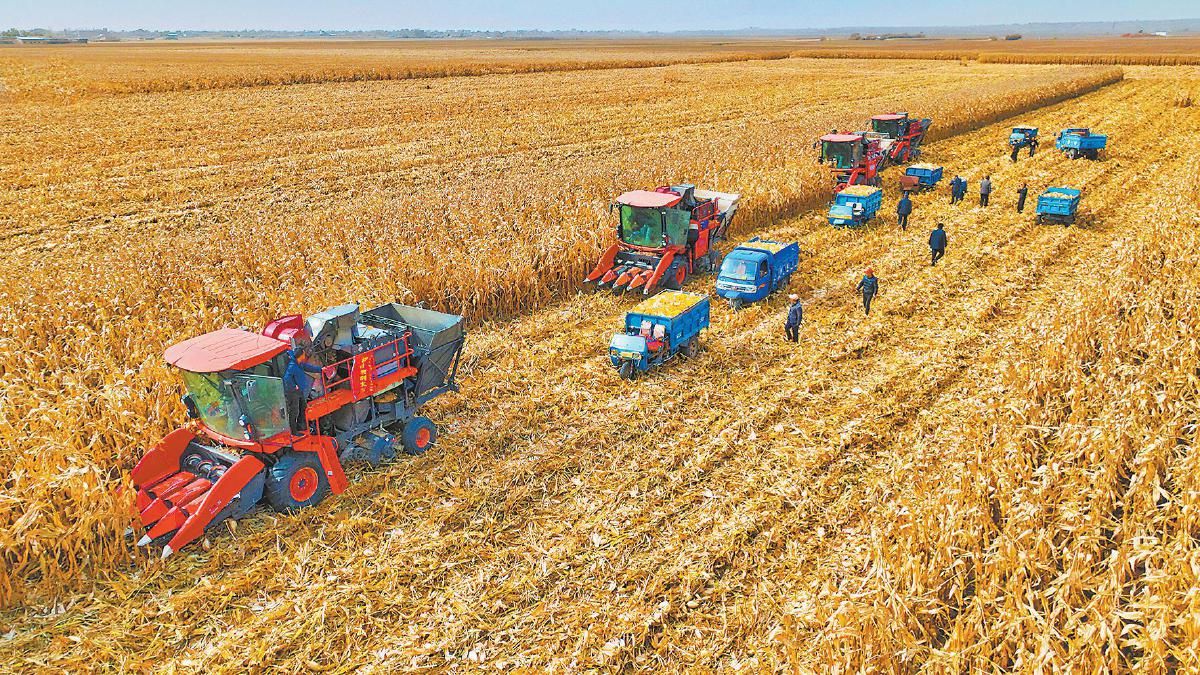 玉米密植高产绿色高效全程机械化生产技术