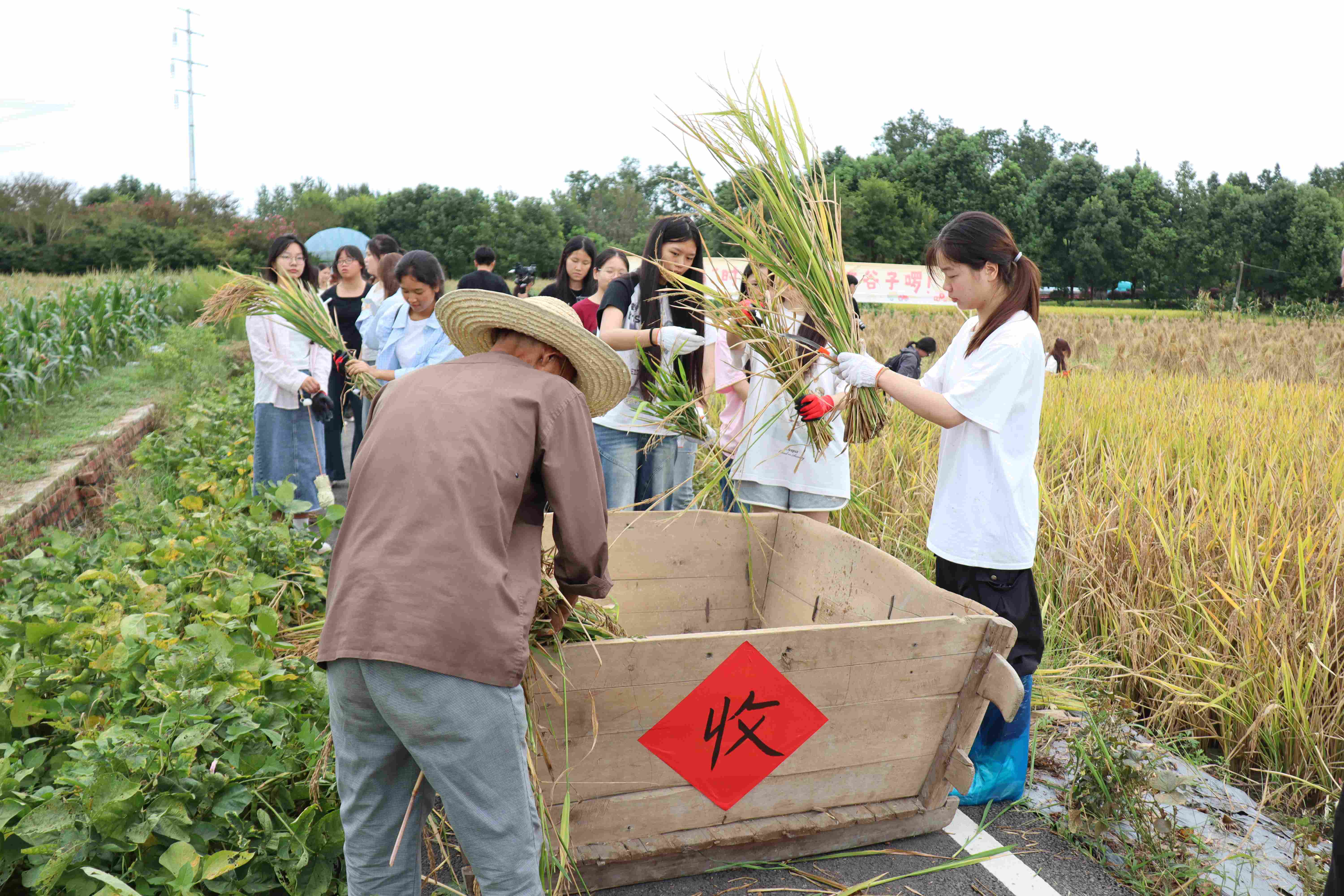 &ldquo;从种子到美食&middot;探秘农业产业链&rdquo;研学活动成功举行，青少年系统认知现代农业价值链条