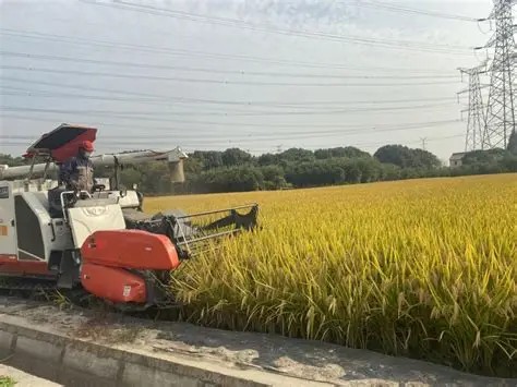 水稻机插缓混一次施肥技术