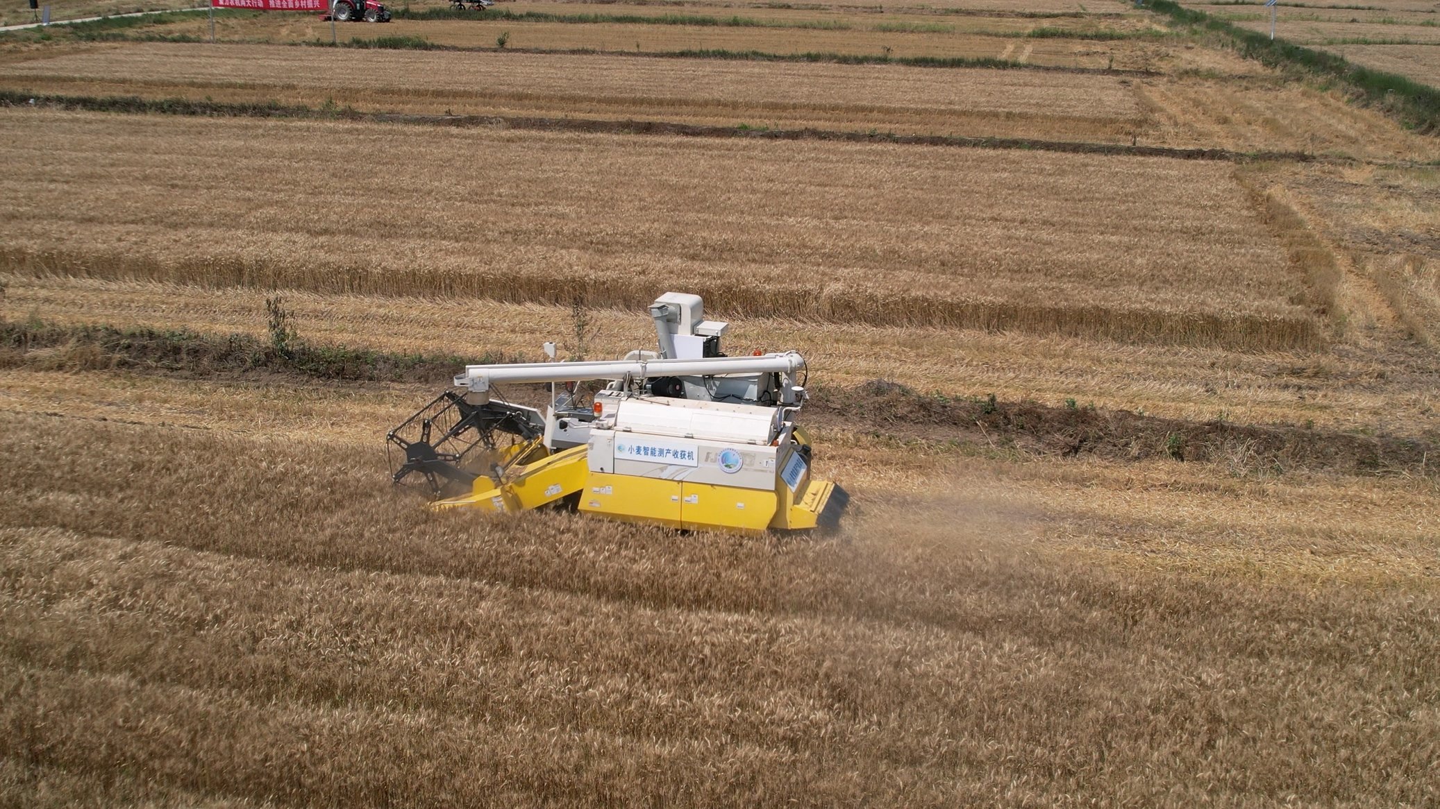 稻－麦连作节水抗逆轻简高效栽培技术