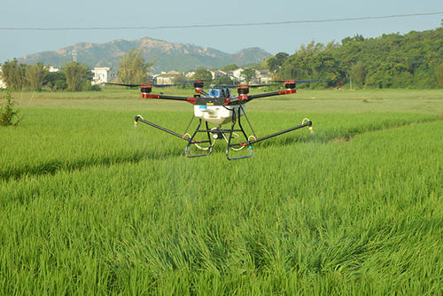 应用植保无人机与绿色防控相融合防治水稻病虫害技术