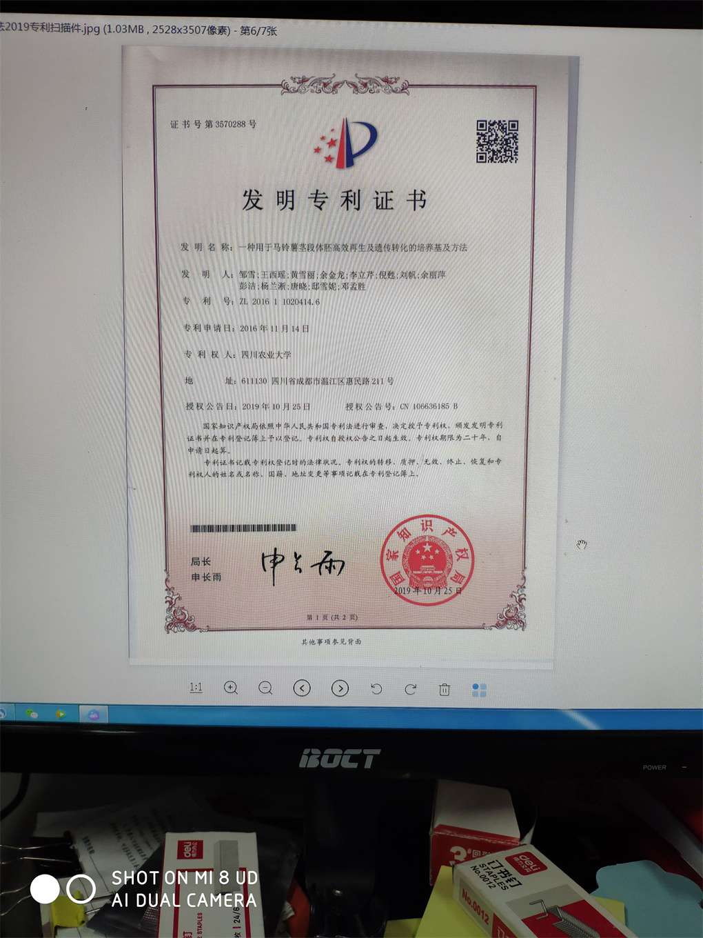 一种用于马铃薯茎段体胚高效再生及遗传转化的培养基及方法
