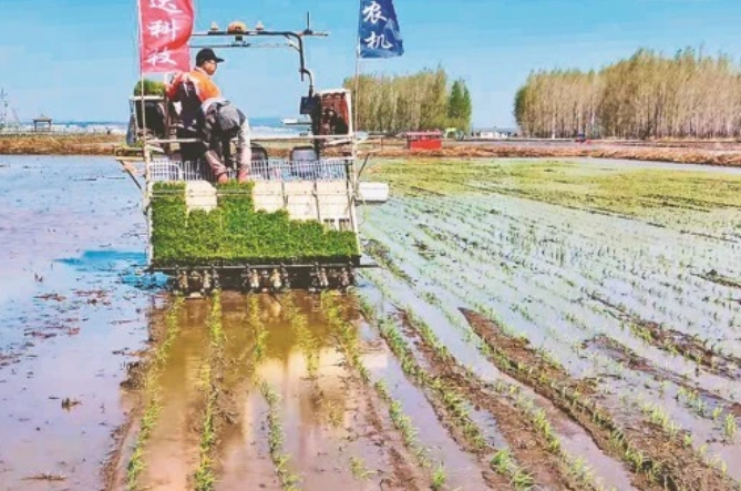 通河县众禾农民水稻专业种植合作社