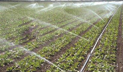 蔬菜水肥一体化技术