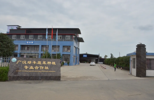 广汉绿丰蔬菜种植专业合作社