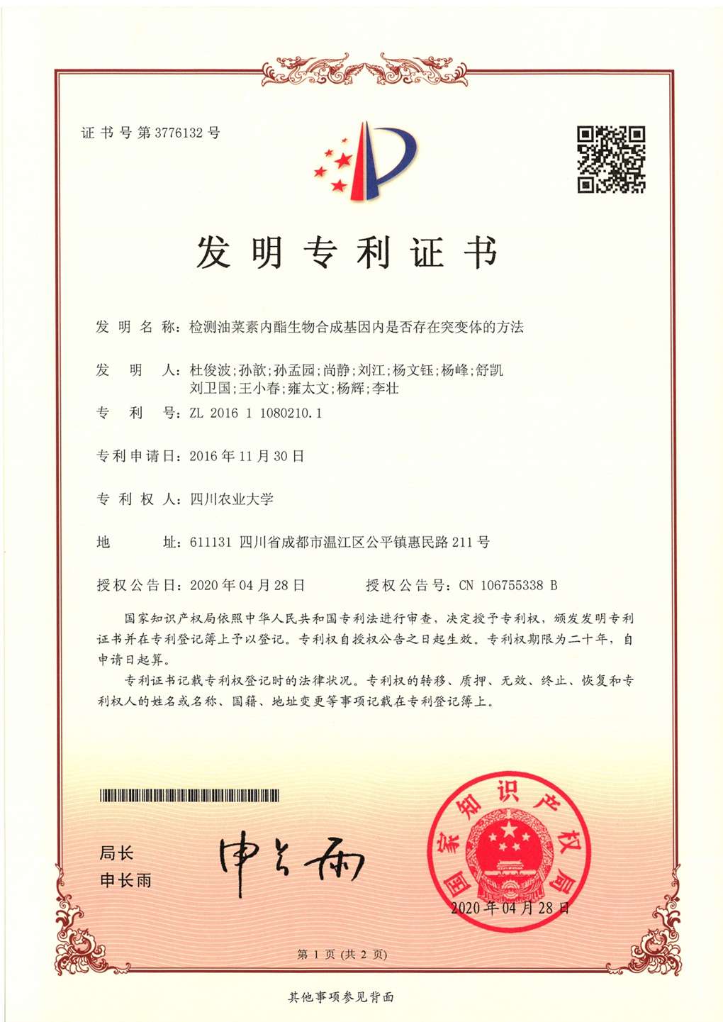 检测油菜素内酯生物合成基因内是否存在突变体的方法