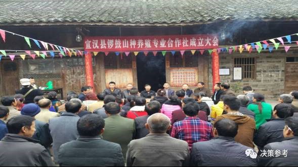 宣汉县锣鼓山种养殖专业合作社