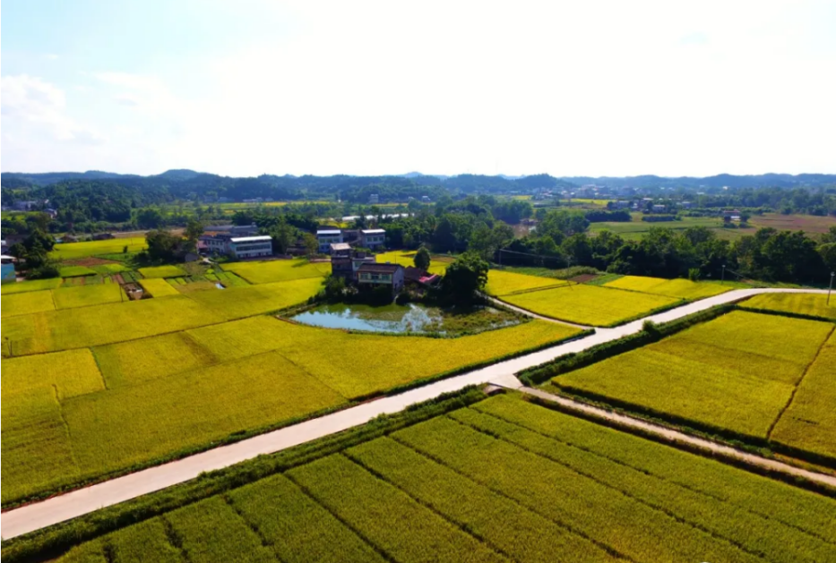 遂宁市安居区三家镇