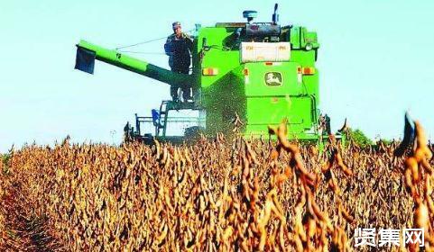 鲜食大豆机械化播种收获技术